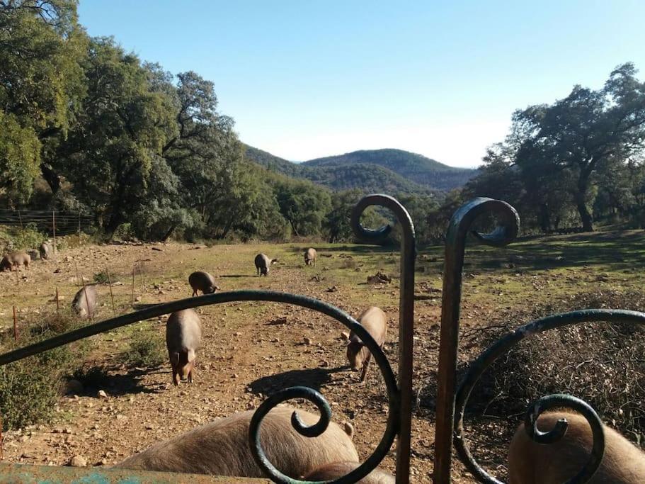 Casa Rural Alicia Cortegana Extérieur photo